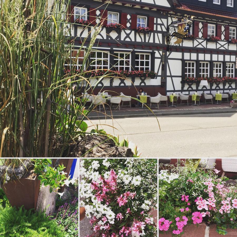 Hotel Restaurant Der Engel, 萨巴赫瓦登 外观 照片